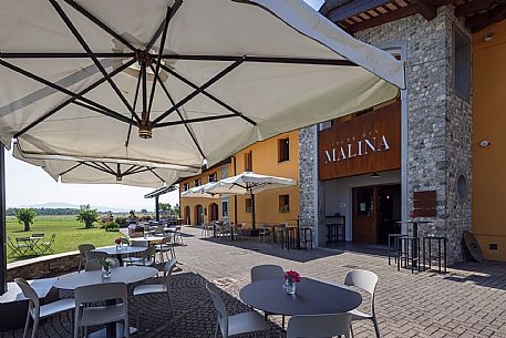 Vigne del Malina azienda vinicola