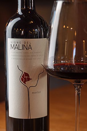 Vigne del Malina azienda vinicola