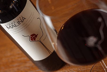 Vigne del Malina azienda vinicola