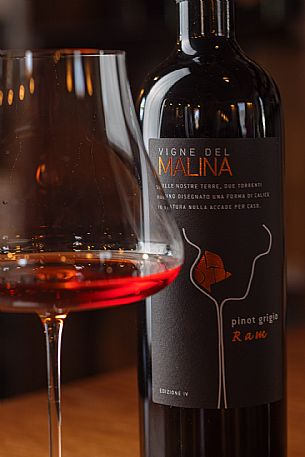 Vigne del Malina azienda vinicola