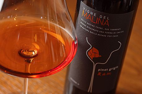 Vigne del Malina azienda vinicola