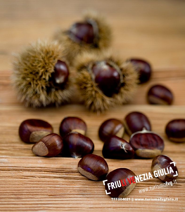 Chestnut