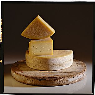 Latteria Cheese