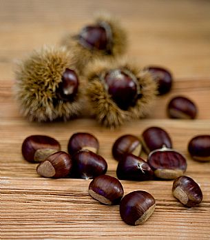 Chestnut