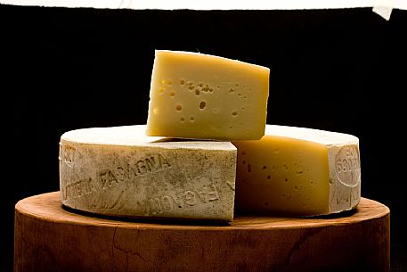 Fagagna Cheese