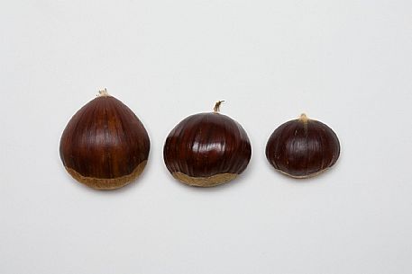 Chestnuts