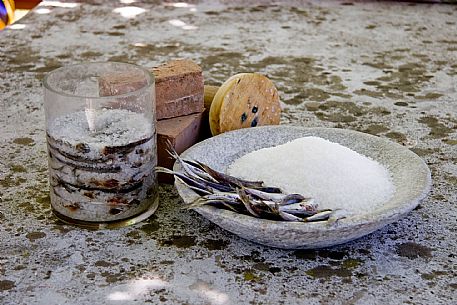 Salty Sardines