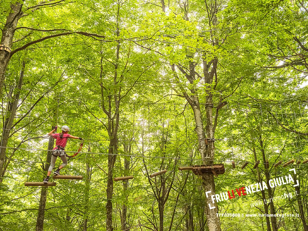 Located in a wonderful beech forest near the tourist resort of Piancavallo, a few hundred meters from the services of the town centre, the Rampy Park offers fun, excitement and the possibility of spending a day outdoors in a safe and stimulating environment. Rampy Park is spread over 50 platforms in 5 different routes differentiated based on difficulty. Everyone from children (over 5 years of age and 1 meter tall) to adults (without age limits) can try it.