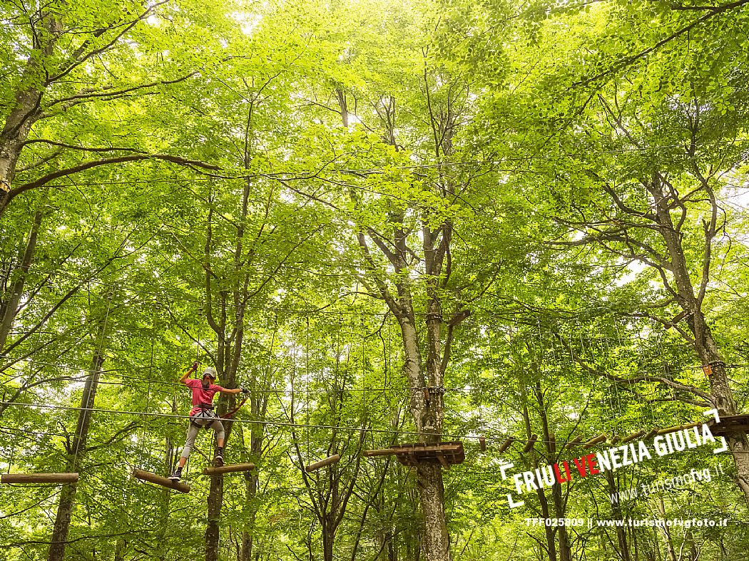 Located in a wonderful beech forest near the tourist resort of Piancavallo, a few hundred meters from the services of the town centre, the Rampy Park offers fun, excitement and the possibility of spending a day outdoors in a safe and stimulating environment. Rampy Park is spread over 50 platforms in 5 different routes differentiated based on difficulty. Everyone from children (over 5 years of age and 1 meter tall) to adults (without age limits) can try it.