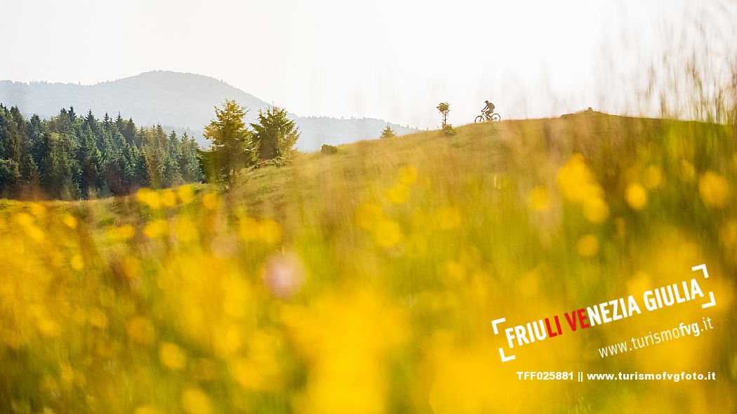 Cyclist on a mountain bike in Candaglia, Piancavallo