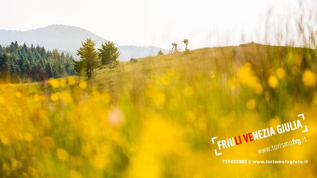 Cyclist on a mountain bike in Candaglia, Piancavallo