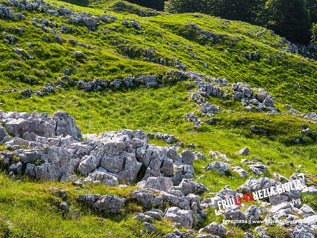 Karst landscape in Candaglia, Piancavallo