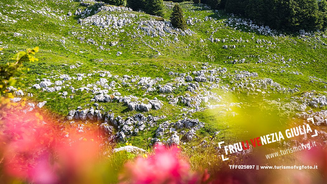 Karst landscape in Candaglia, Piancavallo