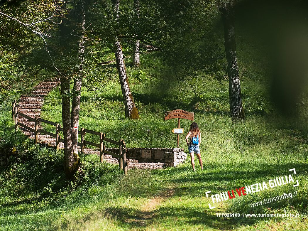 Andreis Nordic Life Park is the first Nordic Wallking life park in the Province of Pordenone.
The park and its paths wind around the town of Andreis.