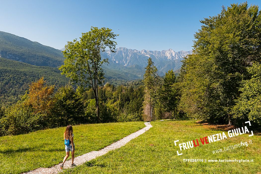 Andreis Nordic Life Park is the first Nordic Wallking life park in the Province of Pordenone.
The park and its paths wind around the town of Andreis.