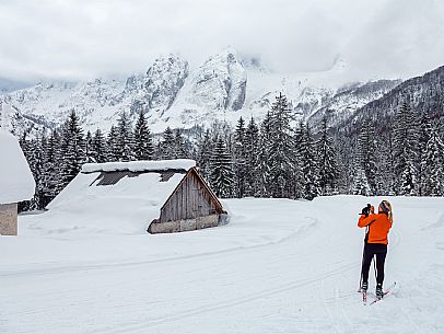 Polo Turistico Invernale: Tarvisio e Val Saisera