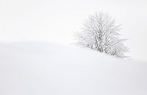 Val Tramontina 