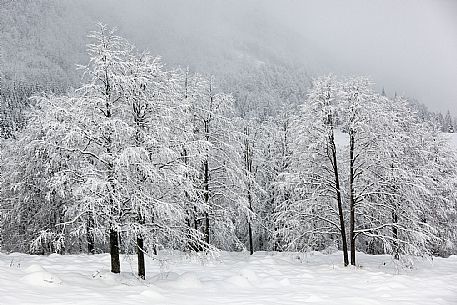 Val Tramontina 