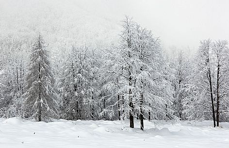 Val Tramontina 