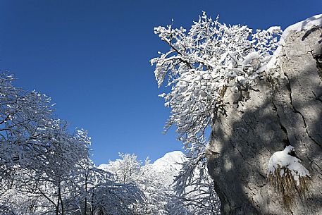 Nevelandia(Piancavallo)