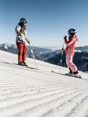 Alpine ski wit two skiers. Di Prampero slope on Lussari Mount.