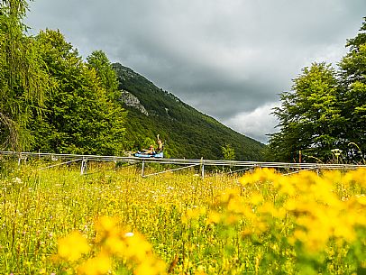 Bob on rail Piancavallo: the hilarious fun that will allow adults and children to experience an exciting adventure aboard two-seater sleds, along 1,000 meters of bumps, curves and parabolic turns!