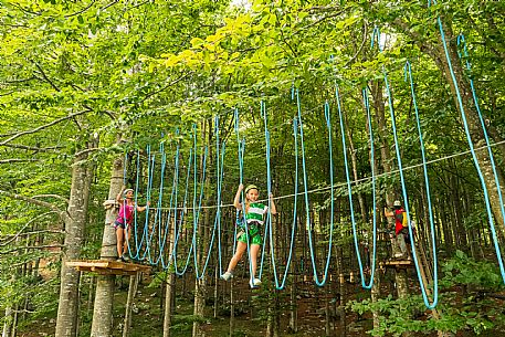 Located in a wonderful beech forest near the tourist resort of Piancavallo, a few hundred meters from the services of the town centre, the Rampy Park offers fun, excitement and the possibility of spending a day outdoors in a safe and stimulating environment. Rampy Park is spread over 50 platforms in 5 different routes differentiated based on difficulty. Everyone from children over 5 years of age and 1 meter tall to adults without age limits can try it.