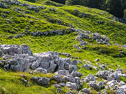 Karst landscape in Candaglia, Piancavallo