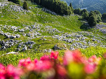 Karst landscape in Candaglia, Piancavallo