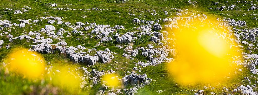 Karst landscape in Candaglia, Piancavallo