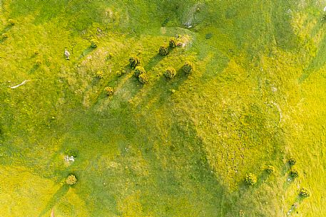 View from above of the Candaglia plateau, Piancavallo