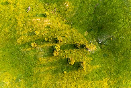 View from above of the Candaglia plateau, Piancavallo