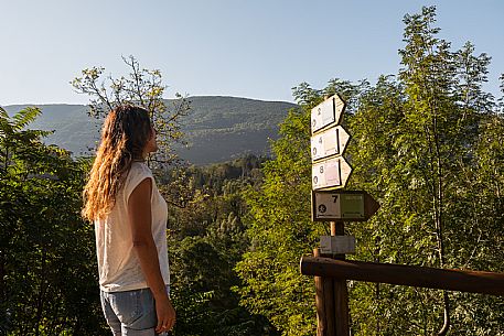 Andreis Nordic Life Park is the first Nordic Wallking life park in the Province of Pordenone.
The park and its paths wind around the town of Andreis.