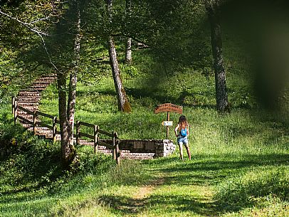Andreis Nordic Life Park is the first Nordic Wallking life park in the Province of Pordenone.
The park and its paths wind around the town of Andreis.