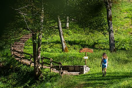 Andreis Nordic Life Park is the first Nordic Wallking life park in the Province of Pordenone.
The park and its paths wind around the town of Andreis.