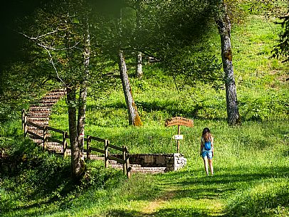 Andreis Nordic Life Park is the first Nordic Wallking life park in the Province of Pordenone.
The park and its paths wind around the town of Andreis.