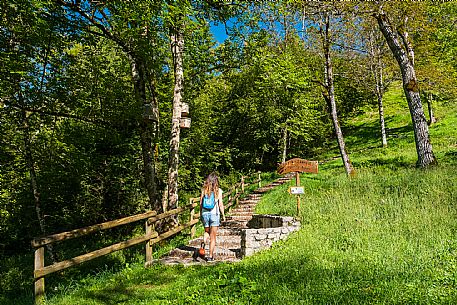 Andreis Nordic Life Park is the first Nordic Wallking life park in the Province of Pordenone.
The park and its paths wind around the town of Andreis.