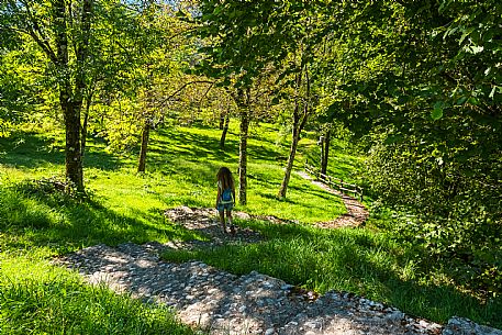 Andreis Nordic Life Park is the first Nordic Wallking life park in the Province of Pordenone.
The park and its paths wind around the town of Andreis.