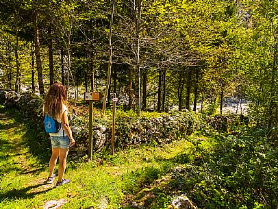 Andreis Nordic Life Park is the first Nordic Wallking life park in the Province of Pordenone.
The park and its paths wind around the town of Andreis.