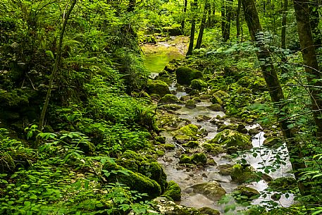 Just above San Leonardo, in the Natisone Valleys, the waters of the Pod Tamoran stream, before flowing into the Ro Patok, form the waterfalls of the Kot waterfall.