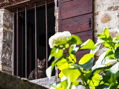 Walking in the Friulian Dolomites, in the villages of Frisanco and Poffabro, considered among the most beautiful villages in Italy Walking in the Friulian Dolomites, in the villages of Frisanco and Poffabro, considered among the most beautiful villages in Italy