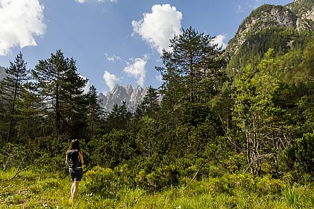 Walking along the fox and bear path in Val Gleris with the majestic Seven Peaks Group in the background, Pontebba