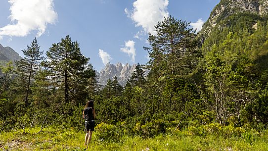 Walking along the fox and bear path in Val Gleris with the majestic Seven Peaks Group in the background, Pontebba
