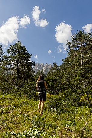Walking along the fox and bear path in Val Gleris with the majestic Seven Peaks Group in the background, Pontebba