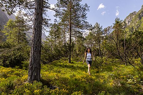 Walking along the fox and bear path in Val Gleris with the majestic Seven Peaks Group in the background, Pontebba