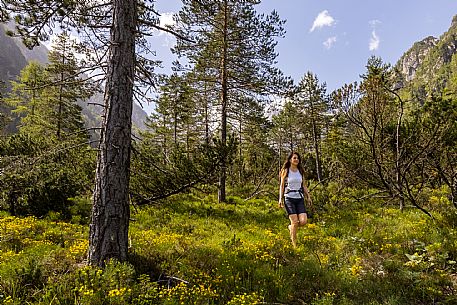 Walking along the fox and bear path in Val Gleris with the majestic Seven Peaks Group in the background, Pontebba