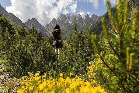 Walking along the fox and bear path in Val Gleris with the majestic Seven Peaks Group in the background, Pontebba