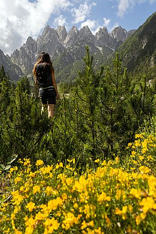 Walking along the fox and bear path in Val Gleris with the majestic Seven Peaks Group in the background, Pontebba