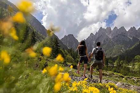 Walking along the fox and bear path in Val Gleris with the majestic Seven Peaks Group in the background, Pontebba