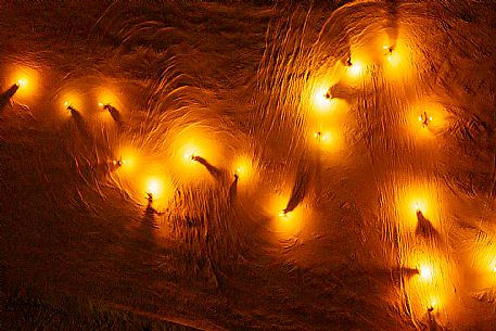 Night view of Monte Santo di Lussari, Italy, with illuminated buildings and a snowy slope. The Di Prampero slope in Camporosso welcomed the new year with the longest torchlight procession in the entire Alpine arc. Night view of Monte Santo di Lussari, Italy, with illuminated buildings and a snowy slope. The Di Prampero slope in Camporosso welcomed the new year with the longest torchlight procession in the entire Alpine arc.